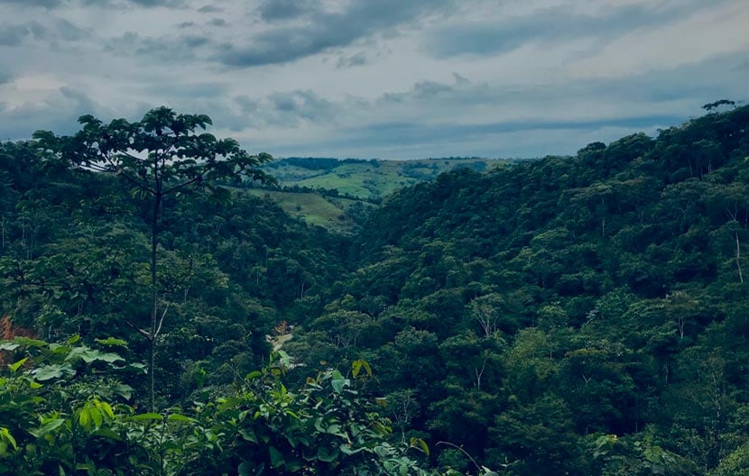 Lavazza e l’iniziativa Coffee&Climate