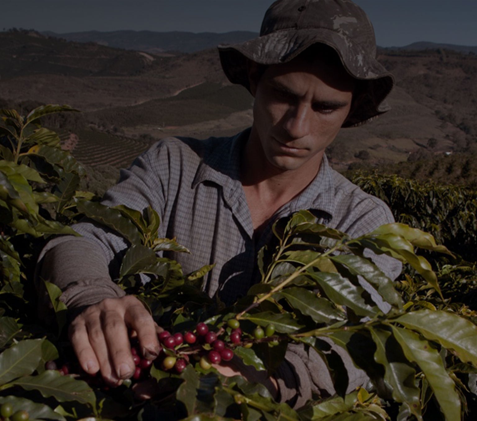 La vita di un coltivatore di caffè