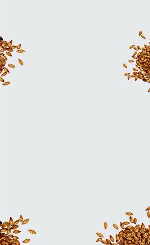 Orzo