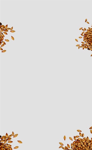 Orzo