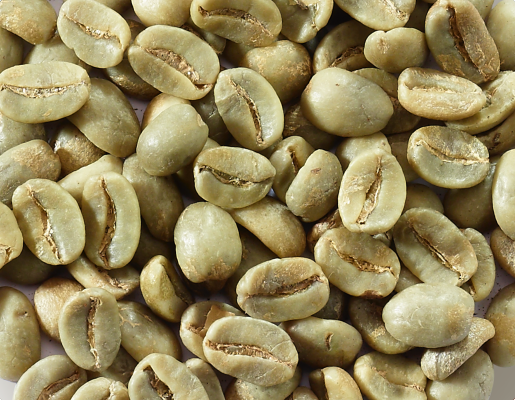 quanta caffeina in estratto di chicco di caffè verde purota