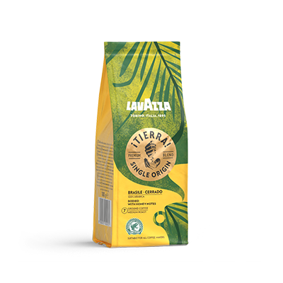 lavazza origin