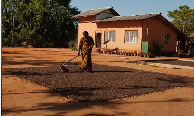 Un grande progetto per piccoli produttori