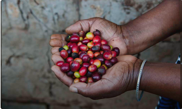 Il caffè learning by doing