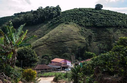 piantagione di caffè in Brasile